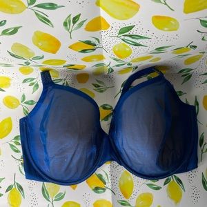 Victoria’s Secret Bra NWT 36DDD Blue Shimmer